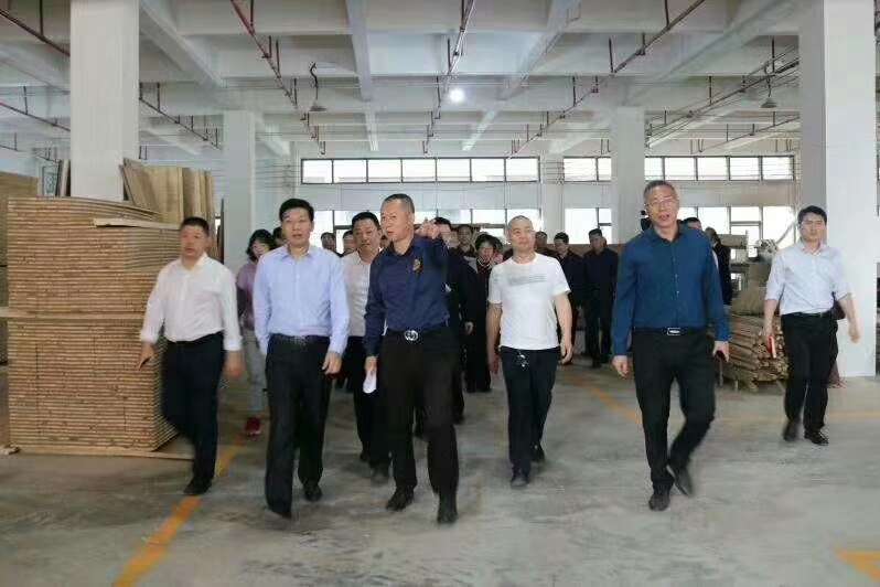 贵州省常务副省长视察嘉腾门业贵州分公司